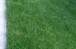 Casa de vanzare, 120 mp, 350 mp teren, zona de case, acces usor la bus!