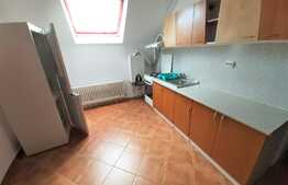 Apartament 3 camere cu doua dormitoare, 90 mp, zona Cinema Marasti