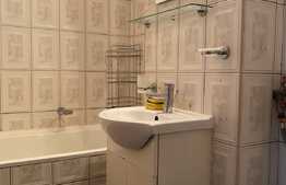 Apartament cu 1 cameră, în zona străzii Dejului. 