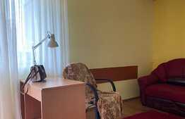Apartament cu 1 cameră, în zona străzii Dejului. 