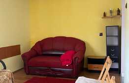 Apartament cu 1 cameră, în zona străzii Dejului. 