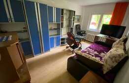 Apartament 2 camere, 42 mp, Zona Astra 