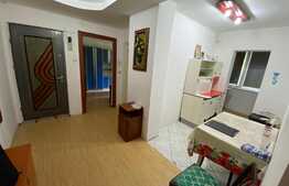 Apartament 2 camere, 42 mp, Zona Astra 