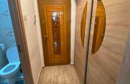 Garsoniera de vanzare, 30mp, Zona Astra