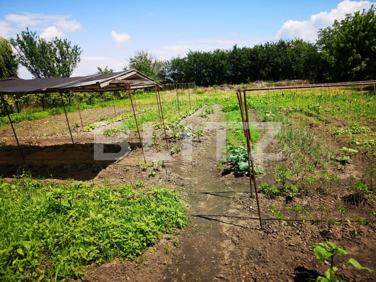 Casa de vânzare 4 camere Exterior Nord - 66141CV | BLITZ Brașov | Poza2