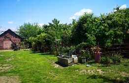 Teren cu casa in Halchiu de 3500 mp