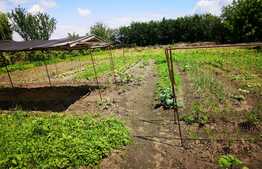 Teren cu casa in Halchiu de 3500 mp