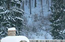 Pensiune de vanzare, 986 mp locuibili, Valea Bozomului