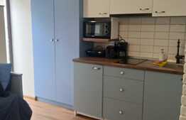 Apartament luxos cu o camera, in zona centrala!