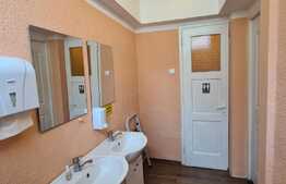 Spatiu comercial , 50 mp, Zona Ultracentrala
