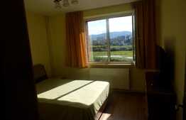 Apartamanent 3 camere spatios si circular, Bd. Alexandru Vlahuta