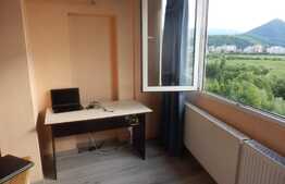 Apartamanent 3 camere spatios si circular, Bd. Alexandru Vlahuta