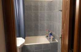 Apartamanent 3 camere spatios si circular, Bd. Alexandru Vlahuta