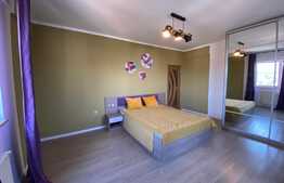 Apartament de 2 camere, decomandat, 50 mp , modern/lux , aer conditionat, zona strazii Nicolae Ivan 