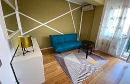 Apartament de 2 camere, decomandat, 50 mp , modern/lux , aer conditionat, zona strazii Nicolae Ivan 