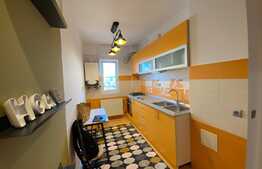 Apartament de 2 camere, decomandat, 50 mp , modern/lux , aer conditionat, zona strazii Nicolae Ivan 