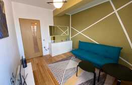 Apartament de 2 camere, decomandat, 50 mp , modern/lux , aer conditionat, zona strazii Nicolae Ivan 