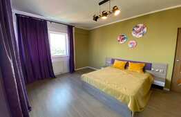 Apartament de 2 camere, decomandat, 50 mp , modern/lux , aer conditionat, zona strazii Nicolae Ivan 