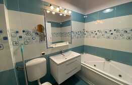 Apartament de 2 camere, decomandat, 50 mp , modern/lux , aer conditionat, zona strazii Nicolae Ivan 