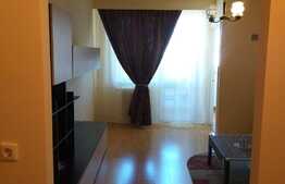 Pentru investitie ! Garsoniera la cheie, etaj intermediar, zona Universitatii Bogdan Voda