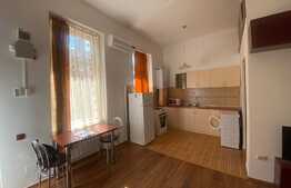 Apartament de 2 camere, 45 mp, zona Ultra Centrala