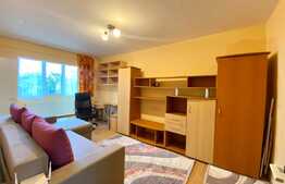 Garsoniera de inchiriat, 25mp, Aleea Taslau, zona mcdonalds