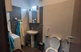 Apartament 2 camere mobilat si utilat lux, 60 mp, Alphaville 