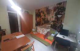 Garsoniera 20.4mp, mobilata si utilata, zona Tractoru 