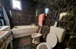 Casa plus spatiu comercial, zona Grivitei