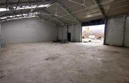 Hala industriala cu 5 incaperi distincte, 450 mp, Baciu!