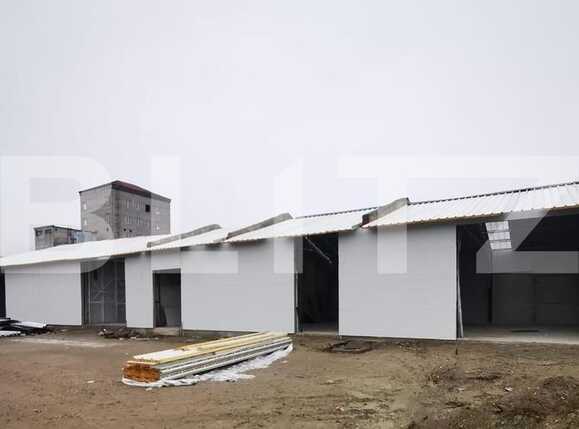 Spațiu industrial de închiriat Baciu - 66432SII | BLITZ Cluj-Napoca | Poza3