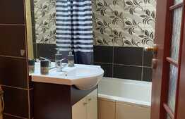 Apartament cu 1 cameră în zona străzii Cojocnei. 