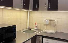 Apartament cu 1 cameră în zona străzii Cojocnei. 