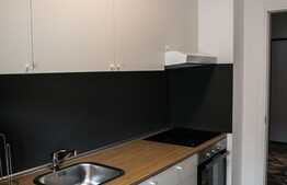 Apartament 2 camere, 60 mp, terasa, parcare subterana, totul nou, Record Park