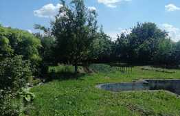 Casa individuala pe un nivel, 107 mp utili, 1274 mp teren