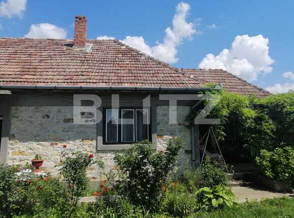 Casa de vânzare 4 camere Jucu - 66460CV | BLITZ Cluj-Napoca | Poza5
