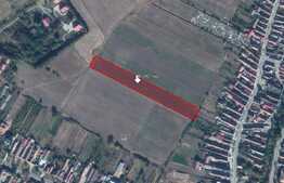 Teren de 8000 mp, Halchiu