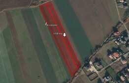 Teren de 5100 mp, Sacele 