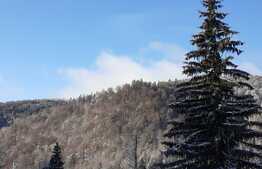 Apartament de 2 camere, cu super view in Predeal 