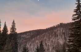 Apartament de 2 camere, cu super view in Predeal 