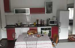 Apartament de 2 camere, cu super view in Predeal 