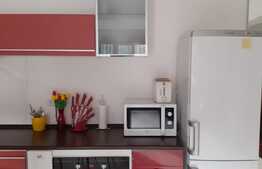 Apartament de 2 camere, cu super view in Predeal 