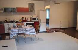 Apartament de 2 camere, cu super view in Predeal 