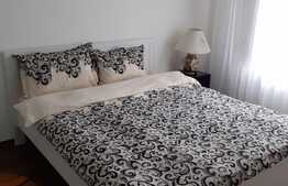 Apartament de 2 camere, cu super view in Predeal 