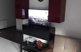 Apartament de 2 camere, cu super view in Predeal 