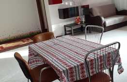 Apartament de 2 camere, cu super view in Predeal 