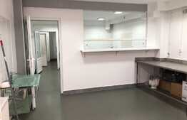 Spatiu servicii profesionale, 132 mp, Romul Ladea