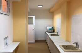 Spatiu servicii profesionale, 132 mp, Romul Ladea