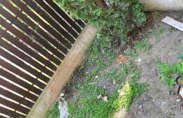 Casa insiruita de vanzare, mobilata si utilata, totul nou, zona Cetatii 