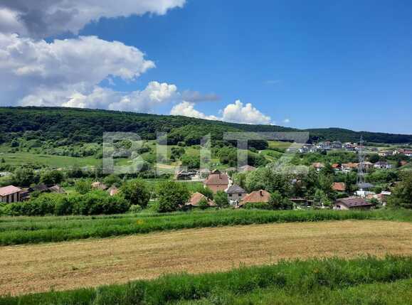 Casa de vânzare 5 camere Exterior Nord - 66551CV | BLITZ Cluj-Napoca | Poza10